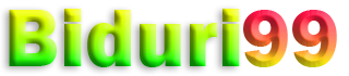 BIDURI99
